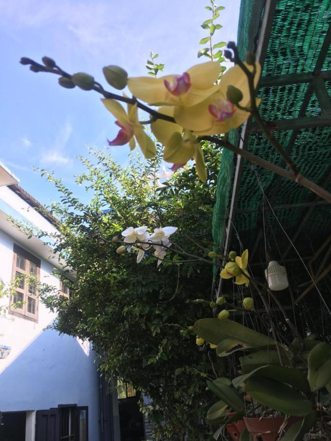 Cherry Garden Homestay Hoi An Exterior foto